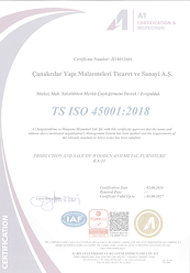 45001 En