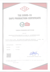 TSE COVID 19 SAFE PRODUCTION CERTIFICATE.